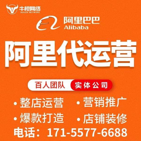 汝州电商代运营