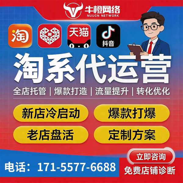 汝州电商代运营