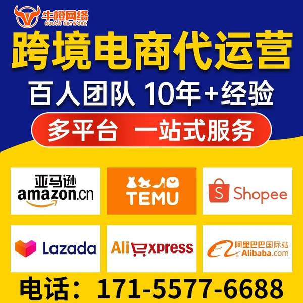 汝州电商代运营
