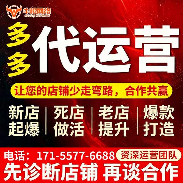 汝州电商代运营