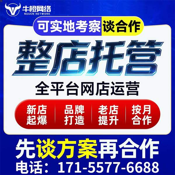 汝州电商代运营
