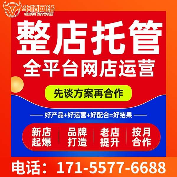 汝州电商代运营