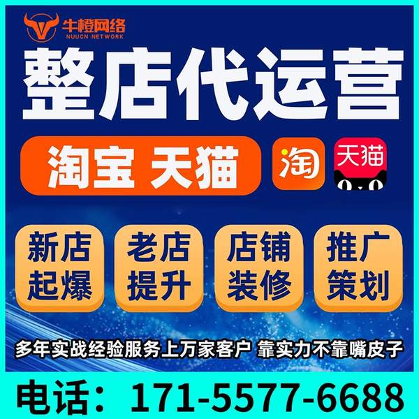 汝州电商代运营