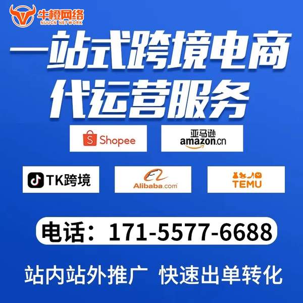 汝州电商代运营