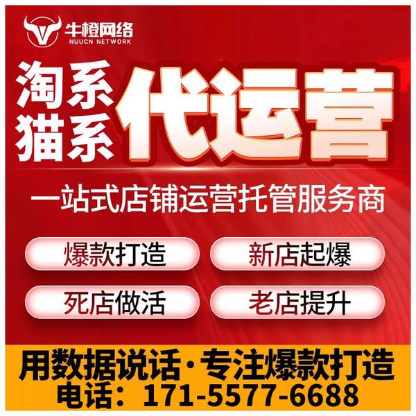 汝州电商代运营